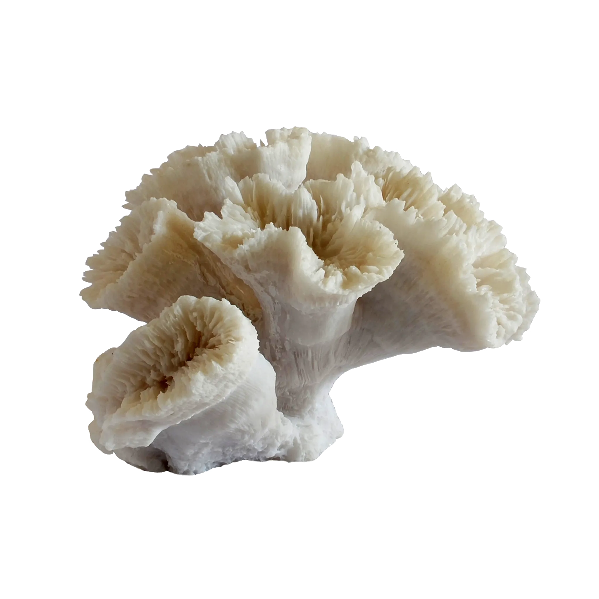 Decorative Synthetic Coral - Sea flower